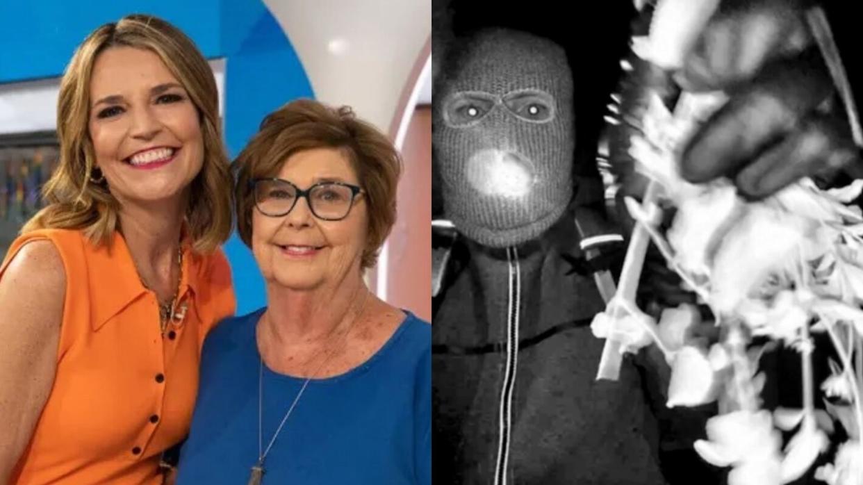 The FBI has released an updated description of a person of interest in the Nancy Guthrie investigation and has doubled the reward, aiming to encourage tips that could advance the search and bring critical information forward.