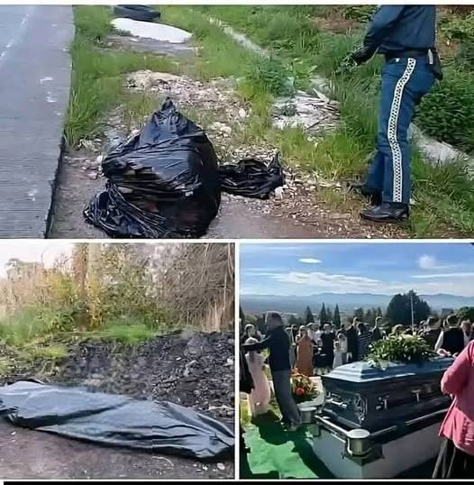 A Life Discovered at Daybreak