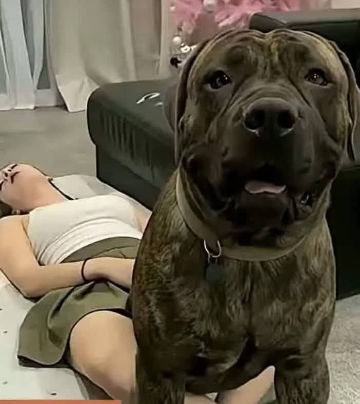 Young woman hospitalized after being penitentiated…See more