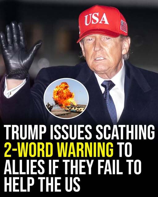 Trump’s 2-word warning to allies if they refuse to help open the Strait of Hormuz