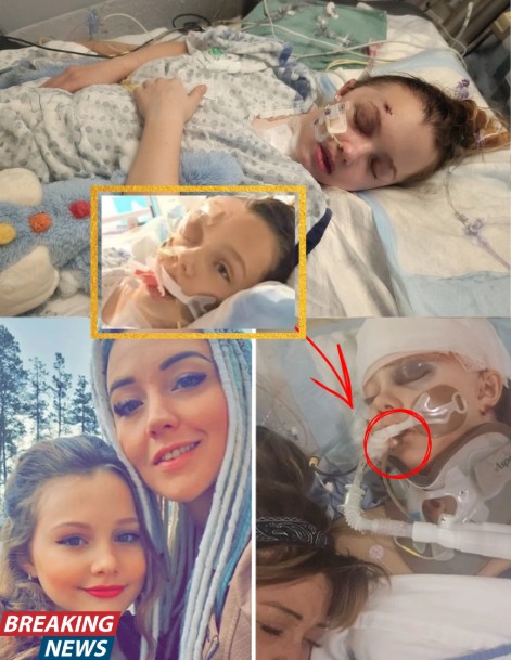 DEVASTATING UPDATE: “Don’t Leave Me” — The Moment That Broke Everyone Watching