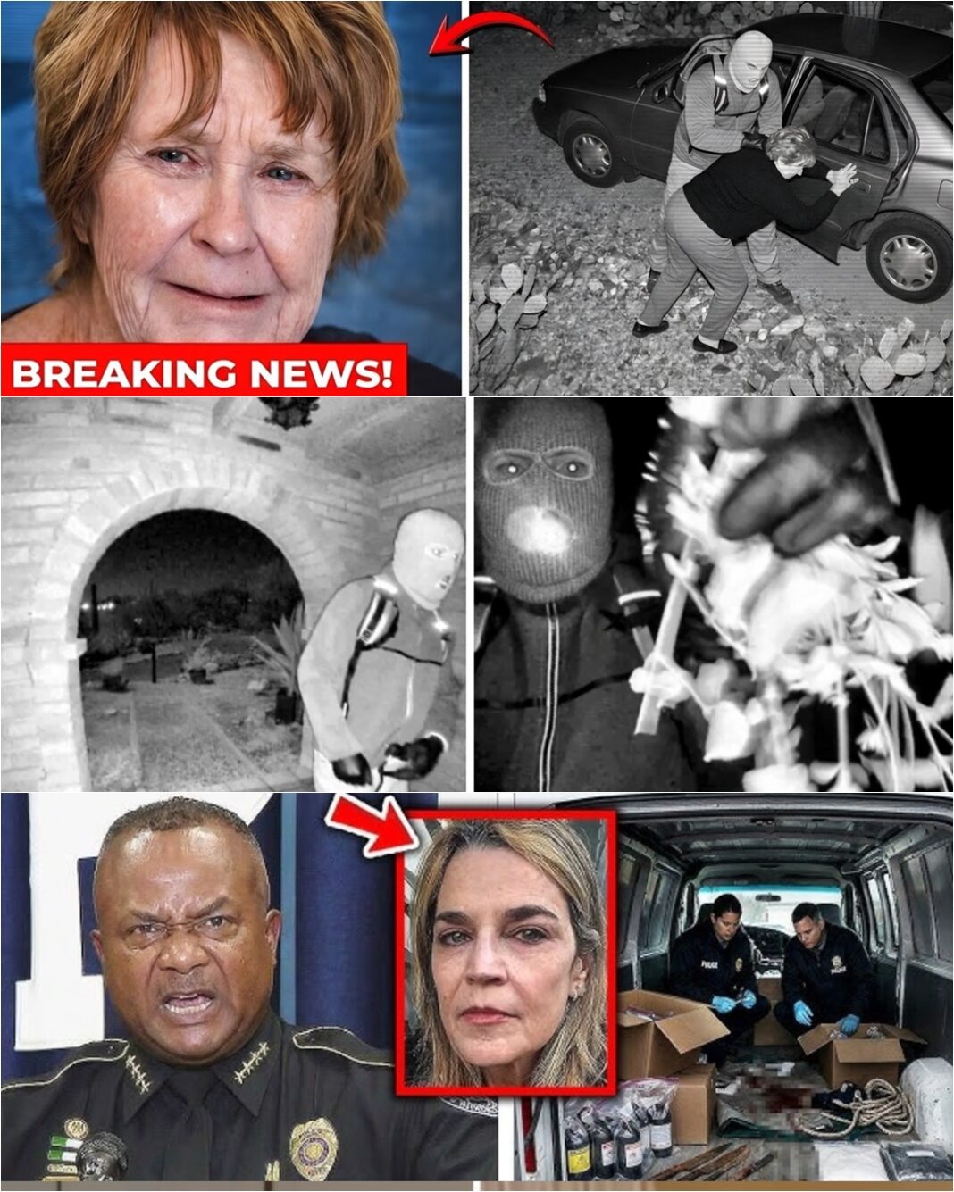 Nancy Guthrie was NEVER kidnapped! — FBI experts overturn the entire case file, exposing the brutal truth behind a staged “fake disappearance”