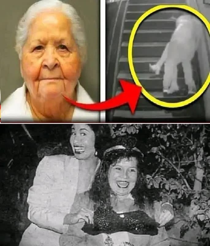 Woman is found dead inside motel; she didn’t want to do if… See more