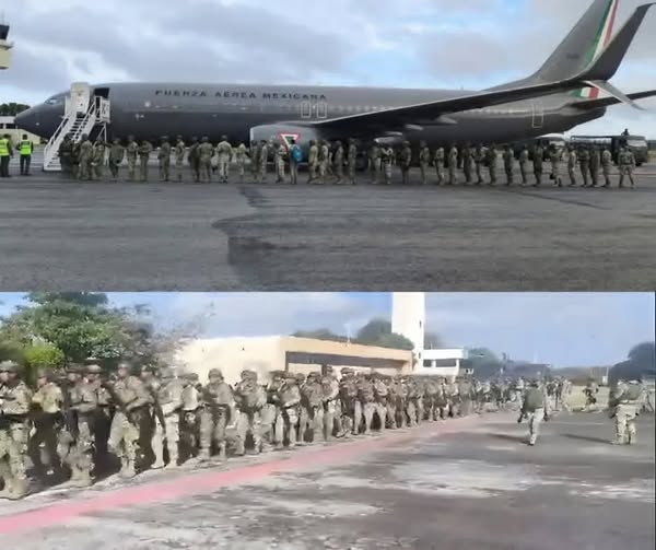 Latest News: Mexico Mobilizes Its Armed Forces