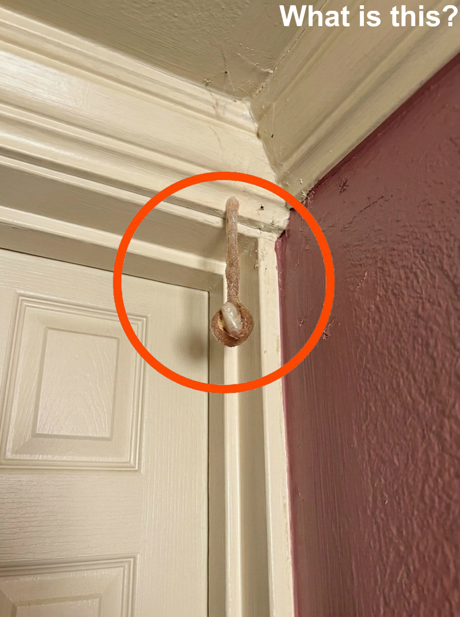 We discovered something unusual hidden inside the wall of our hotel room