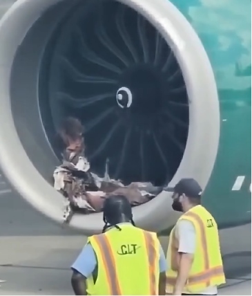 Charlotte Airport Experiences Delays Following Frontier Airlines Plane Incident